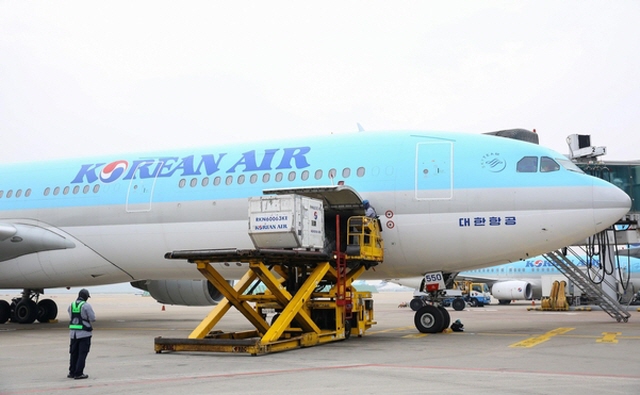 Airline Industry Regains Vitality in Freight Sector