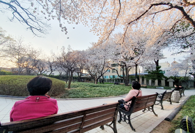 People in Daegu, 300 kilometers southeast of Seoul, practice social distancing while enjoying the warm spring sun and blooming flowers at Gyeongsanggamyeong Park, on March 25, 2020. (Yonhap)