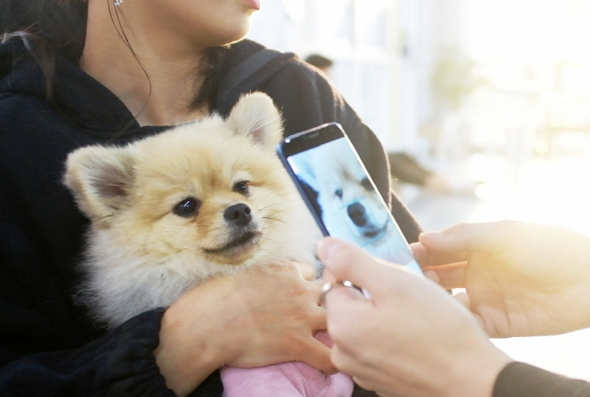 Chuncheon to Introduce Biometrics-based Animal Registration Program