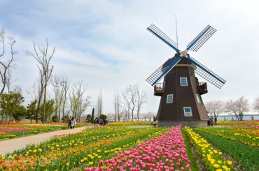 Dutch Embassy in Seoul Sends Tulips to Medical Staff