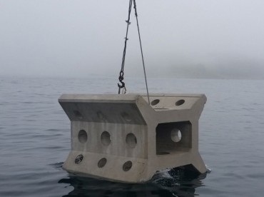 Researchers Transform Oyster Shells into Artificial Reefs