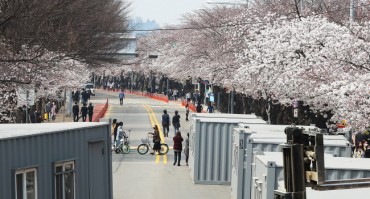 Popular Spring Blossom Festivals Canceled over Coronavirus Fears