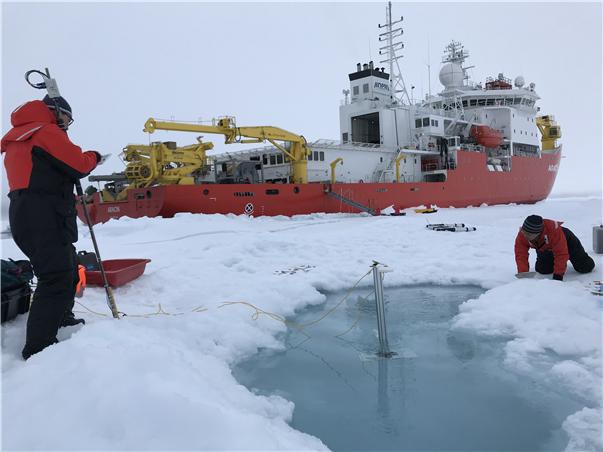 Researchers Use Polar Organisms to Develop New Antibiotics