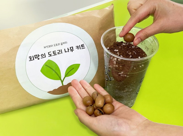 Convenience stores Distribute Acorns for Home Gardens