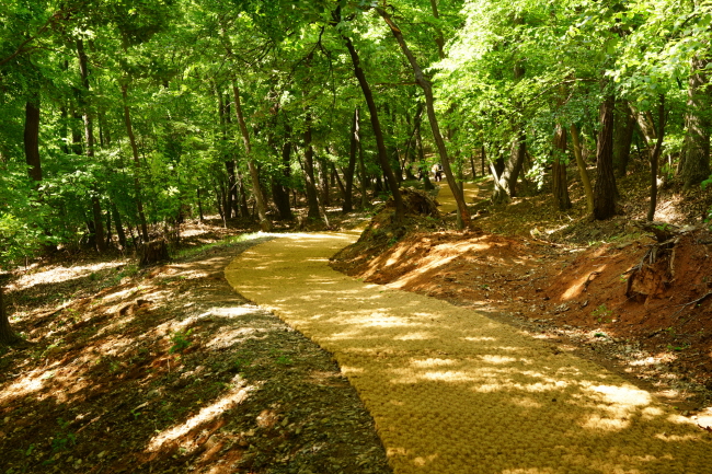 A forest walkway at the East Nine Royal Tombs in Guri, east of Seoul. (image: Cultural Heritage Administration)