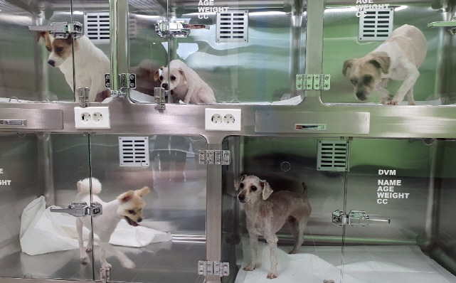 The center, operated directly by the city government, houses an animal hospital where veterinarians are deployed and has the highest level of facilities in the country. (Yonhap)