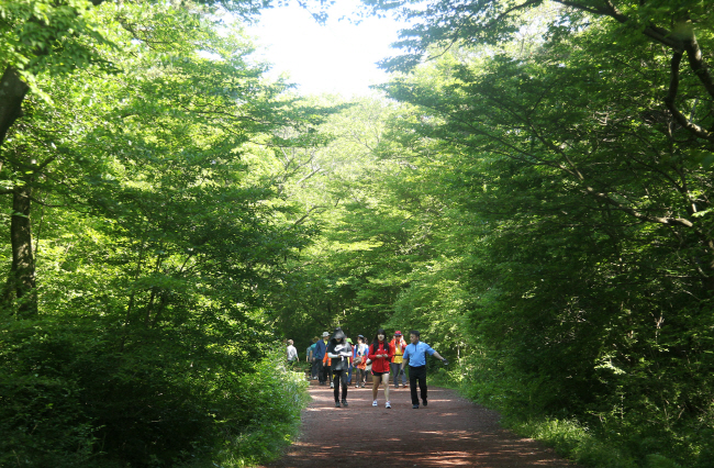 The Saryeoni Forest Path in Jeju Island (Yonhap)