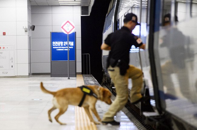 A sniffer dogs hops on to a train with a security guard at the train station that serves Incheon International Airport, west of Seoul, in this file photo provided by Korea Railroad Corp. on July 12, 2019.