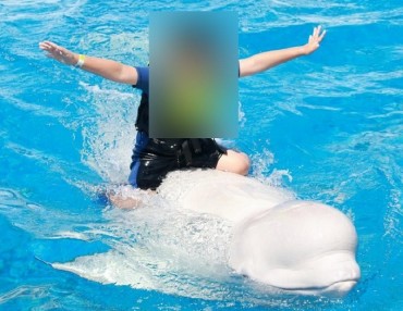 Dolphin-riding Photoshoots Criticized as Animal Abuse