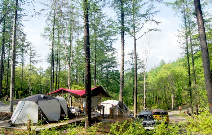 Coronavirus Prompts Koreans to Head to the Forest Instead of Beach for Summer Vacation