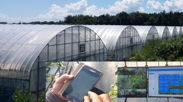 Smart Farm Tech Boosts Productivity at Small Greenhouses