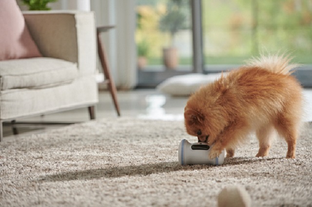 This photo provided by LG Uplus Corp. shows the mobile carrier's smart home pet care service.