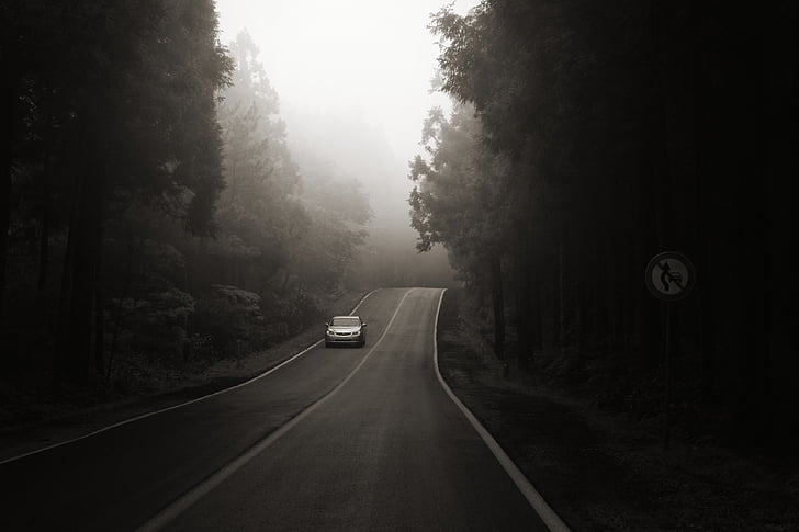 A car is seen along the road in Bijarim Forest.