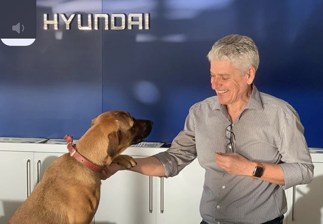 Abandoned Dog Gets a Job at Hyundai Dealer in Brazil