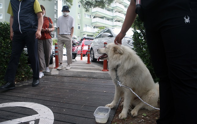 S. Korea to Subsidize Adoption of Abandoned Animals