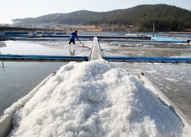 S. Korea Develops Salt-producing Solar Panel System