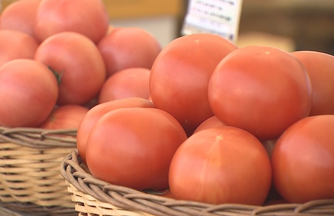 Hamburger Franchises Struggle with Tomato Supply Following Typhoon