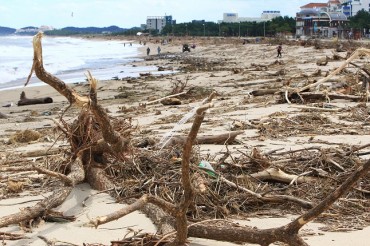 Typhoons Leave Behind Mountains of Trash on East Coast Beaches