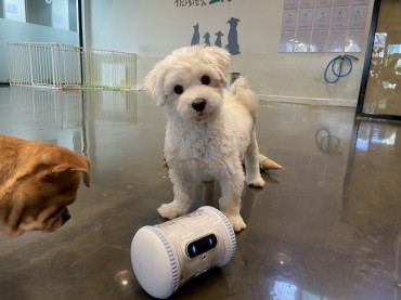 AI Robots Protect Abandoned Animals in Seoul’s Gangdong District