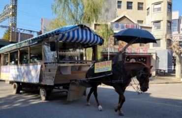 Municipal Gov’t Mistakenly Accused of Animal Abuse for Theme Park Horse Carriage
