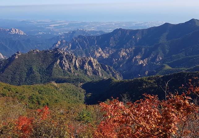 This photo provided by the Office of the Mount Seorak National Park shows leaves turning red in the mountains.