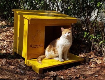 Seoul’s Seocho District Sets Up Feeding Zone for Stray Cats
