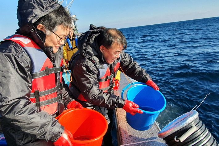 Pollack Tagged With Microchips Before Release in East Sea