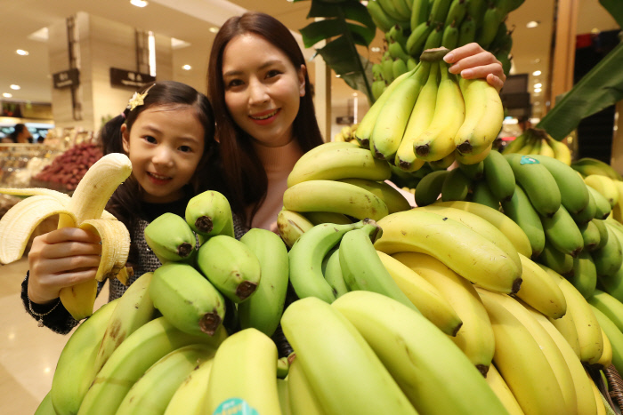 Eco-friendly Wando Bananas to Hit Market Next Year