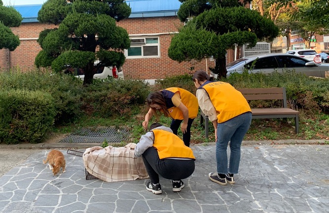 The members of the association spend their personal time to take care of stray cat shelters. (image: Jeonju Stray Cat Protection Association)