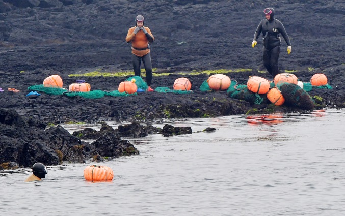 Korean Female Diver ‘Haenyeo’ Drop in Number by 4.5 pct