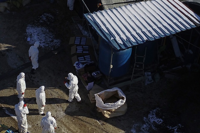 Quarantine officials prepare to cull ducks at a farm in Gokseong, South Jeolla Province, on Dec. 31, 2020, as an avian influenza case was found there. (Yonhap)