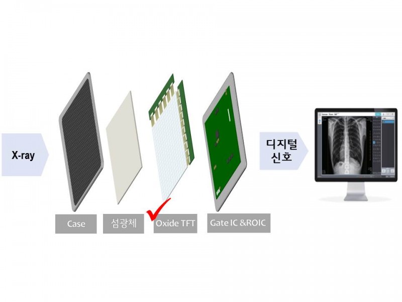 LG Display Enters X-ray Imaging Biz with Large-size Oxide-based TFT