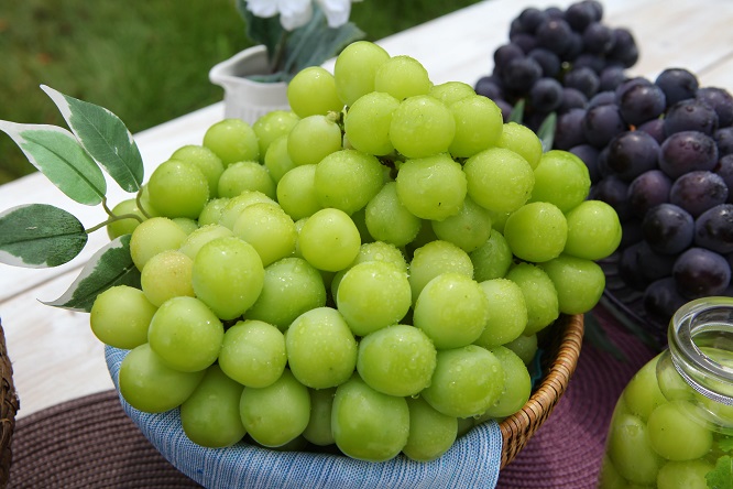 N. Gyeongsang Province Accounts for Majority of Grape Exports