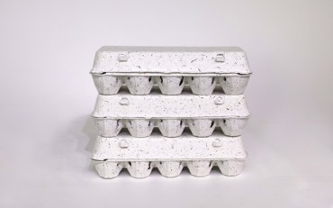 SK Innovation-backed Social Venture Develops Eco-friendly Seaweed Byproduct Egg Tray