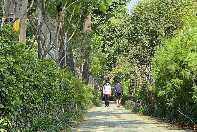 Seoul City to Plant 400,000 Trees to Reduce Air Pollution