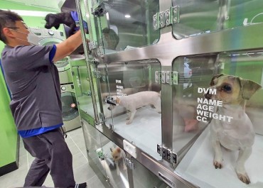 Local Gov’ts Provide Financial Assistance for Pet Medical Care
