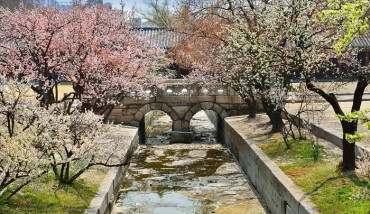 Spring Flowers at Seoul’s Royal Palaces to Peak in April