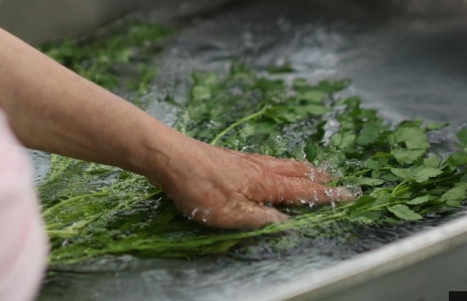 ‘Minari’ Spurs Jump in Water Parsley Sales