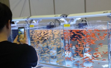 S. Korea’s Pet Fish Market to Grow 35 pct by 2025