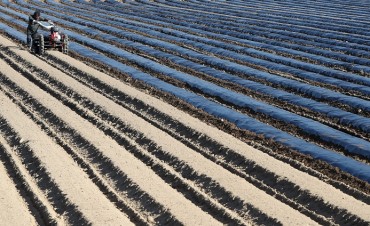 Researchers Develop Biodegradable Mulch Film to Reduce Agricultural Waste