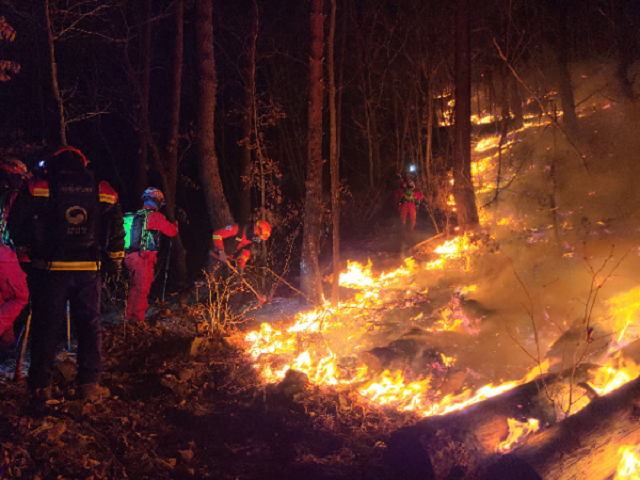Firefighters conduct operations to extinguish a forest fire in Jeongseon, some 210 kilometers east of Seoul, on Feb. 21, 2021, in this photo provided by the Korea Forest Service.