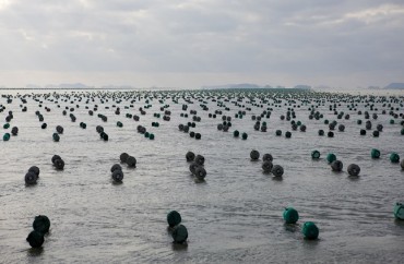Gov’t to Ban Use of Styrofoam Buoys at Laver and Oyster Farms Next Year