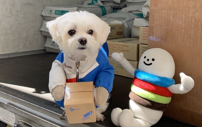 Kyungtae, CJ Logistics Corp.'s honorary delivery dog. (image: CJ OliveNetworks)