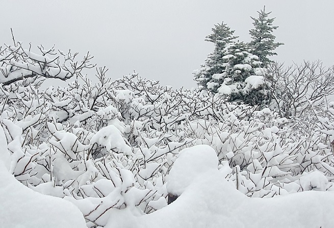 Mount Seorak in the northeastern province of Gangwon is covered with snow on April 30, 2021, in this photo provided by Seoraksan National Park Office.