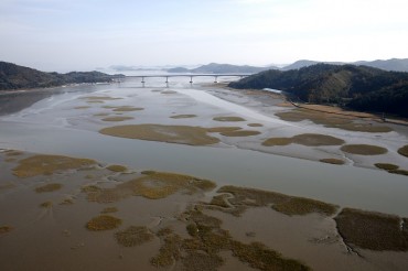 Mudflats in South Korea Absorb Carbon Dioxide: Study