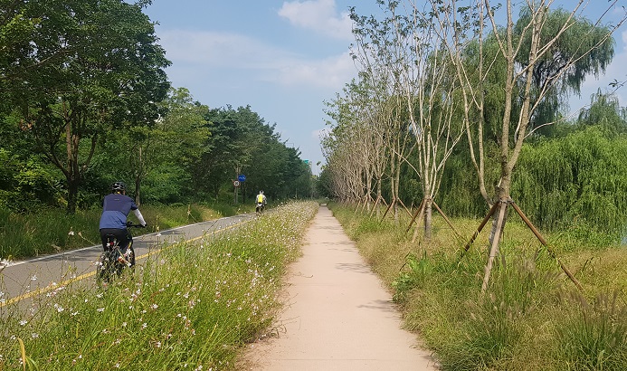 Han River Park Authorities to Plant 70,000 Trees This Year