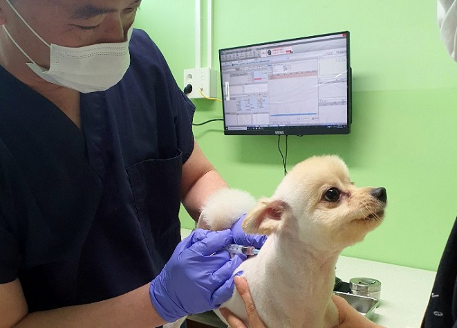 A veterinary clinic in Seoul. (Yonhap)