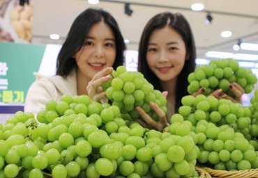 S. Korea’s Exports of Grapes Set Fresh High in 2020