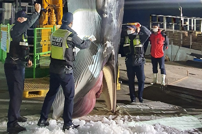 S. Korea Tightens Regulations on Sales of Whales