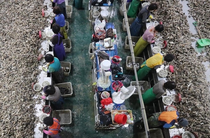 Moves Afoot to Recycle Clam and Oyster Shells to Improve Fishing Grounds